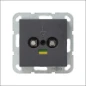 040528 GIRA POTENTIAALVEREFF DS 2V S55 ANT