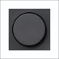 065028 GIRA AFD KNOP S55 ANTR