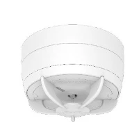 CAVIUS, A0152071