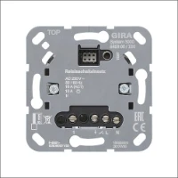 GIRA, 540300