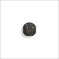 GIRA, 542500