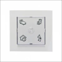 DIMPLEX, SCS  Switch