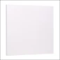 DIMPLEX INFRAROOD PANEEL 300W WT