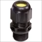  WISKA WISKA  EX WARTEL M2