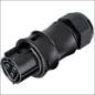  WIELAND RST20I3 KABELSTEKER FEMALE ZW