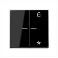 JUNG, FM A 1701 BF SW