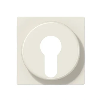 A 528 PL JUNG CPL SLEUTELSCH AS500 R1013