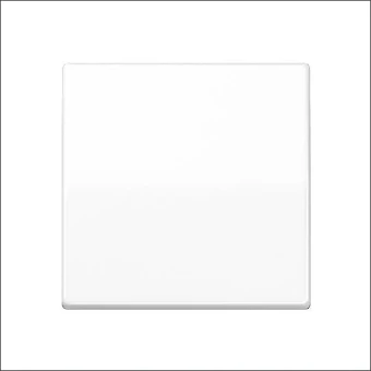 AS 591 WW JUNG WIP WISS CPL WIT