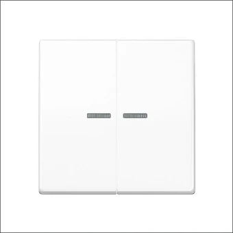 AS 591-5 KO5 WW JUNG WIP SERIE CTRL AS500 ALPW