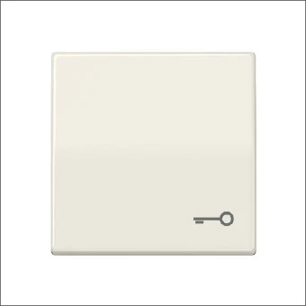 AS 591 T JUNG WIP MET SYMBOOL SLEUTEL WIT