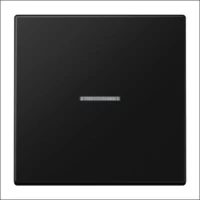 JUNG, FM LS 1700 SWM