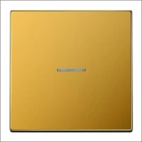 JUNG, FM LS 1561.07 GGO
