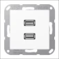  JUNG CENTR PL 2XUSB A500 ALPW