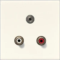 JUNG, MA LS 1011