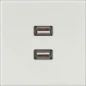  JUNG CENTR PL LS990 LI GRIJS 2XUSB