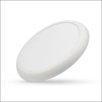 INTERLIGHT, IL-DN300KS