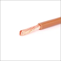 LAPP, H07V-K 1X6 BR R100