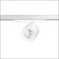  LIVAL GA-016 CAFE 3150L 4K FL WT