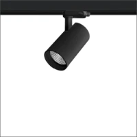 LUMIPARTS, 2.17.1850