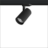 LUMIPARTS, 2.17.1859