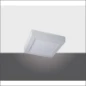  PROLUMIA PRO-CEILING 220X220X39MM OPBOU