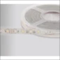  PROLUMIA LED STRIP IP68 24VDC RGB-WW (