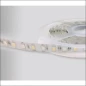  PROLUMIA LED STRIP IP20 24VDC RGB-WW (