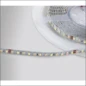  PROLUMIA LED STRIP IP20 24VDC CW/WW