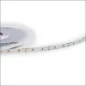 PROLUMIA LED STRIP SILVER IP62 24VDC