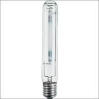 PHILIPS, SONTXTRA100W