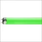  PHILIPS TL BUIS 18W GROEN