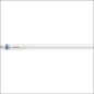  PHILIPS MAS LEDTUBE HF 600MM HO 8W840