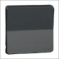 MUR34201 SCHNEIDER PART ENKELE WIP ANTR BEL