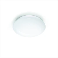 STEINEL, RSPROLEDP1V33000K