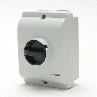 ESWPX 416 NORWESCO WERKSCHAKELAAR 16A 4P IP65