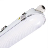 LEDS LIGHT, 2410297