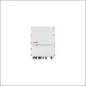  SOLAREDGE HOME HUB-OMVORMER SE3000H