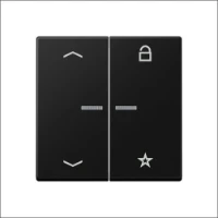 JUNG, FM A 1701 BFP SWM