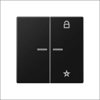 JUNG, FM A 1701 BF SWM