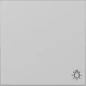 3285015 GIRA WIP SYM LICHT S55 GS M