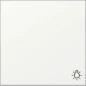 328527 GIRA WIP SYM LICHT S55 MWT