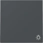 328528 GIRA WIP SYM LICHT S55 ANTR