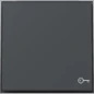 328767 GIRA WIP SYM DEUR TX44 SW IB ANTR