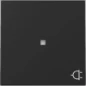 3291005 GIRA WIP CTRL+SYM WCD S55 MZW
