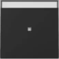3670005 GIRA WIP CTRL+TK S55 MZW