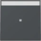 367028 GIRA WIP CTRL+TK S55 ANTR