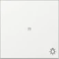 367403 GIRA WIP CTRL+SYM LICHT S55 WT