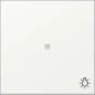 367427 GIRA WIP CTRL+SYM LICHT S55 MWT