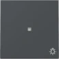367428 GIRA WIP CTRL+SYM LICHT S55 ANTR