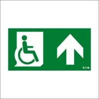 BLESSING, Picto FlexiTech rolstoel ISO E 20m